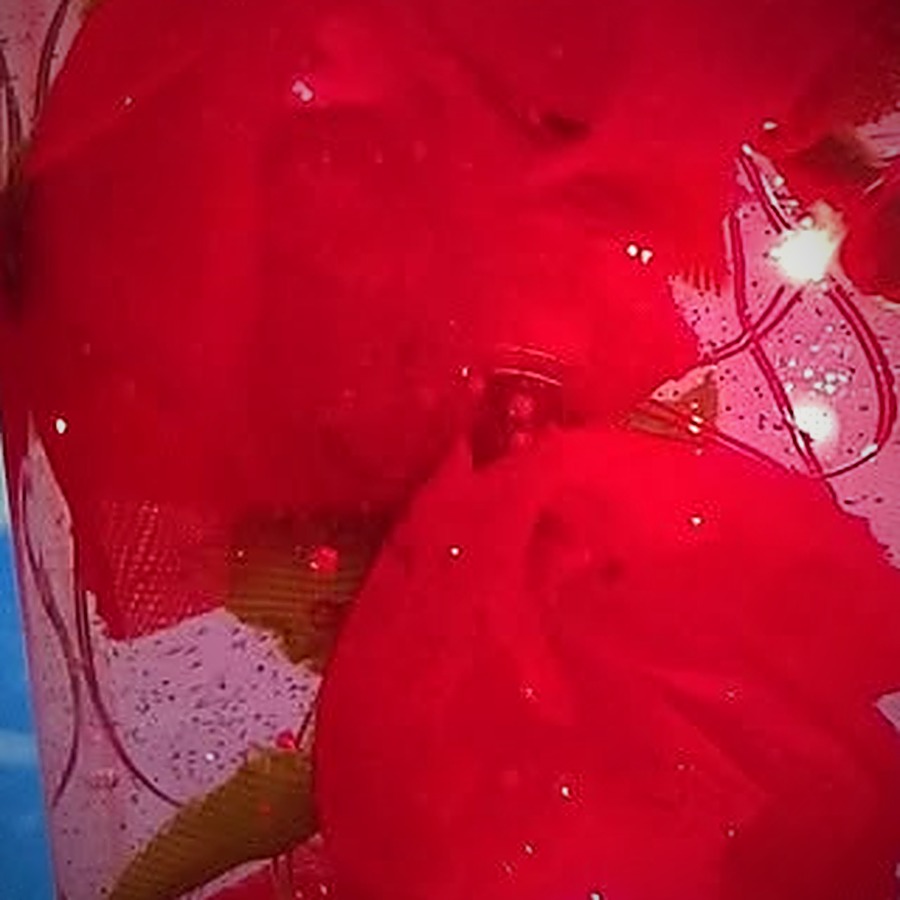 Close-up of red roses preserved inside clear resin with tiny lights